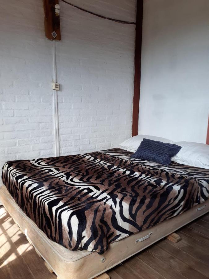 Casa De Huespedes Amigos Del Diablo Hotell Punta Del Diablo Eksteriør bilde